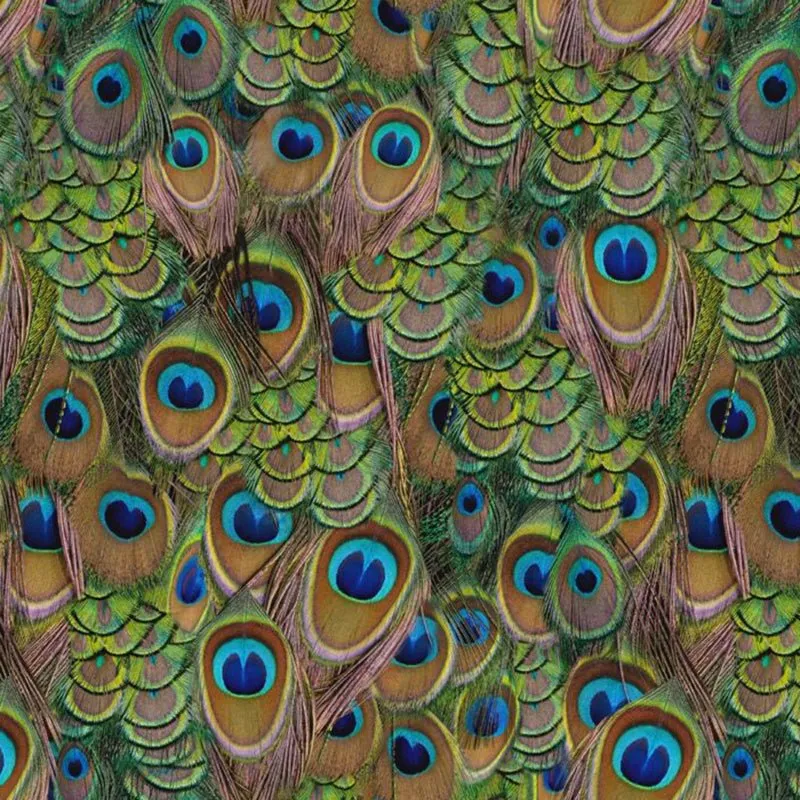 Active Leggings in Peacock