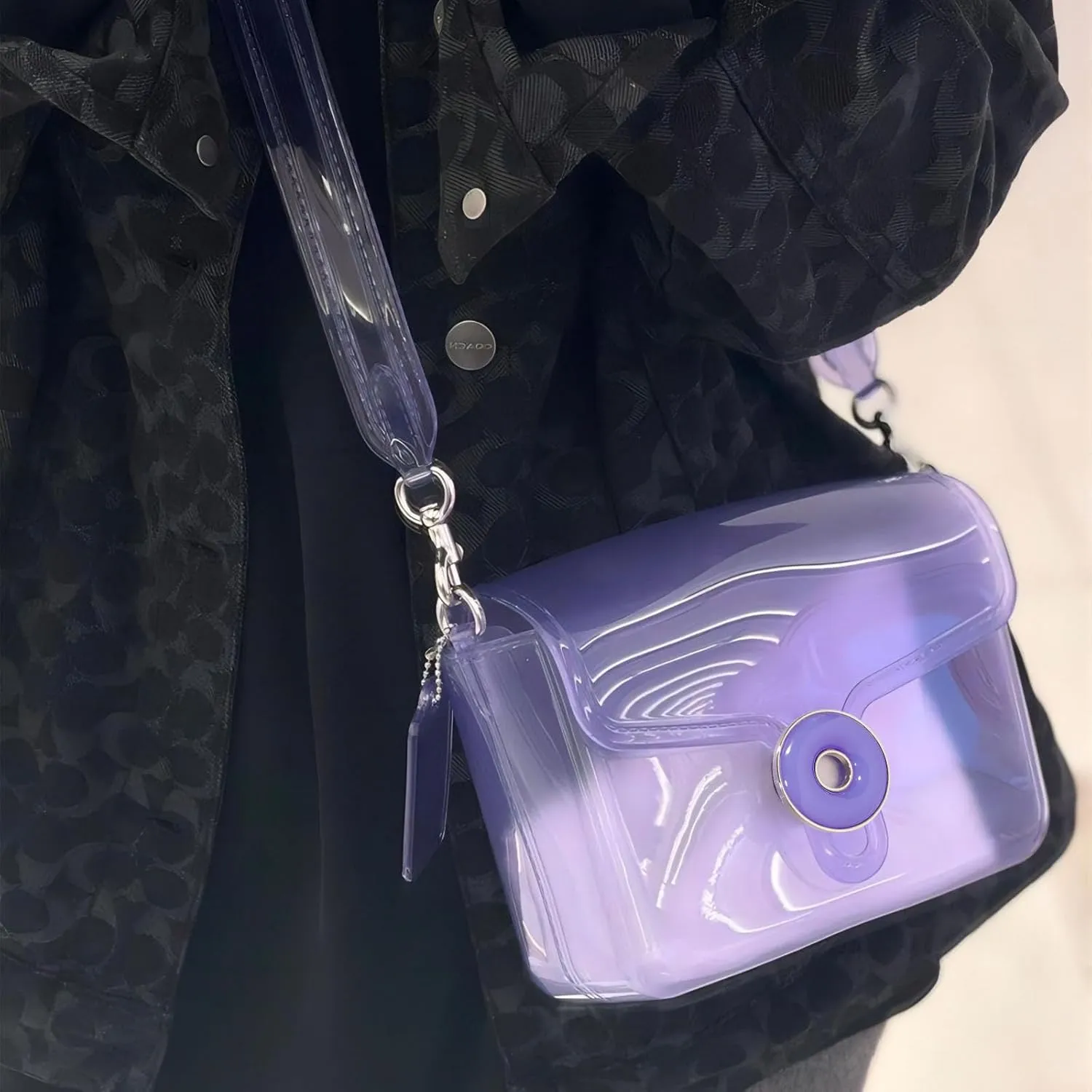Jelly Tabby Bag - Clear Crossbody Bag for Women with Chain Vintage-Inspired Convertible Wristlet and Shoulder Bag