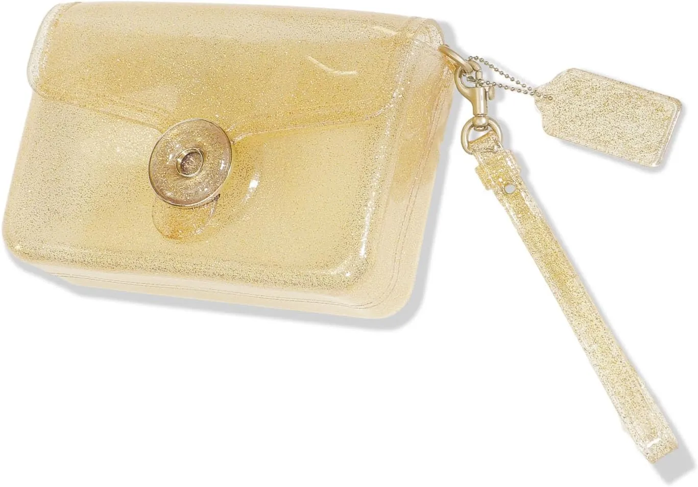 Jelly Tabby Bag - Clear Crossbody Bag for Women with Chain Vintage-Inspired Convertible Wristlet and Shoulder Bag