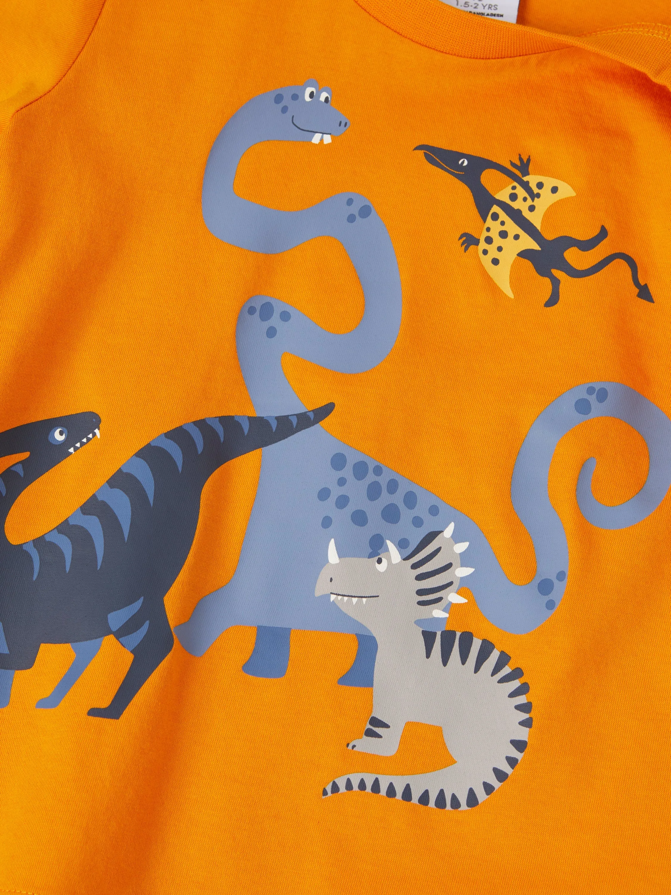 Organic Cotton Dinosaur Print T-Shirt